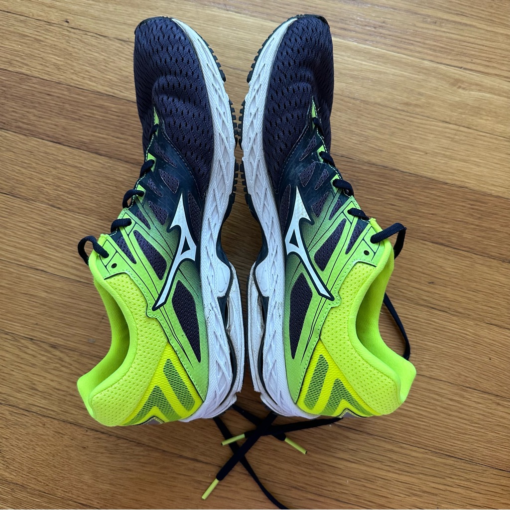 Mizuno Wave Shadow 2s